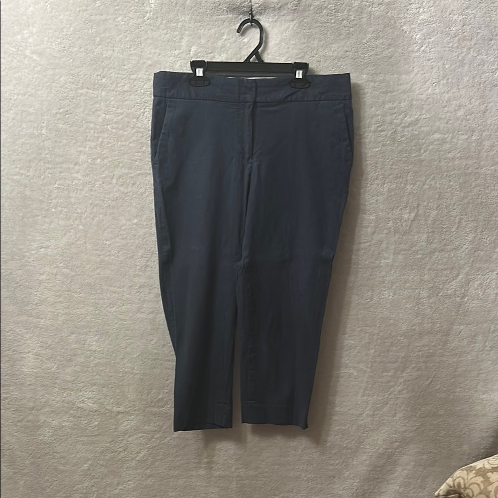 Talbots Blue Capris Classic Fit